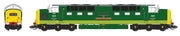 Classe 55 - Vert BR (extrémités entièrement jaunes) - D9016 Gordon Highlander - Échelle TT